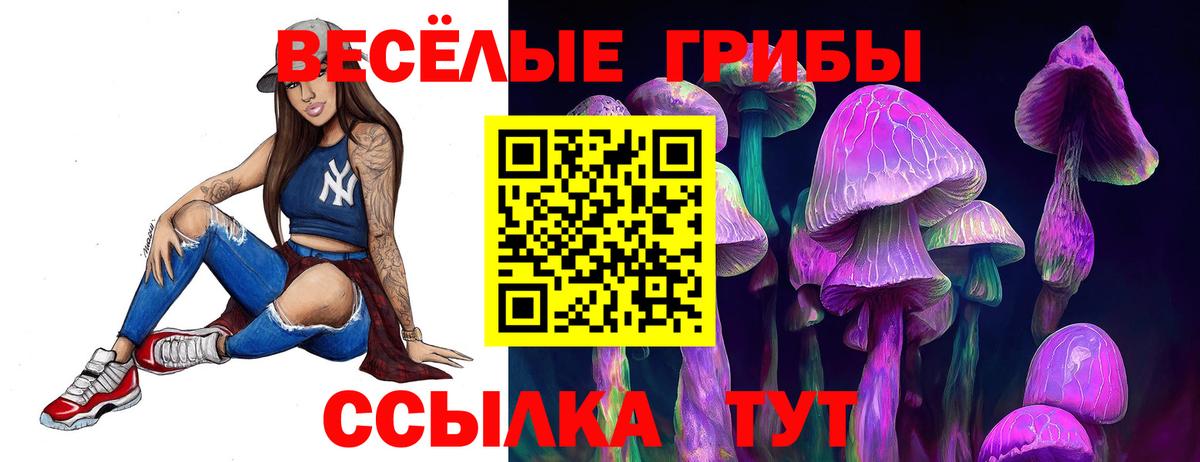 Пушкино  Галлюциногенные грибы GOLDEN TEACHER  Псилоцибиновые грибы Magic Shrooms  Вход с VPN 