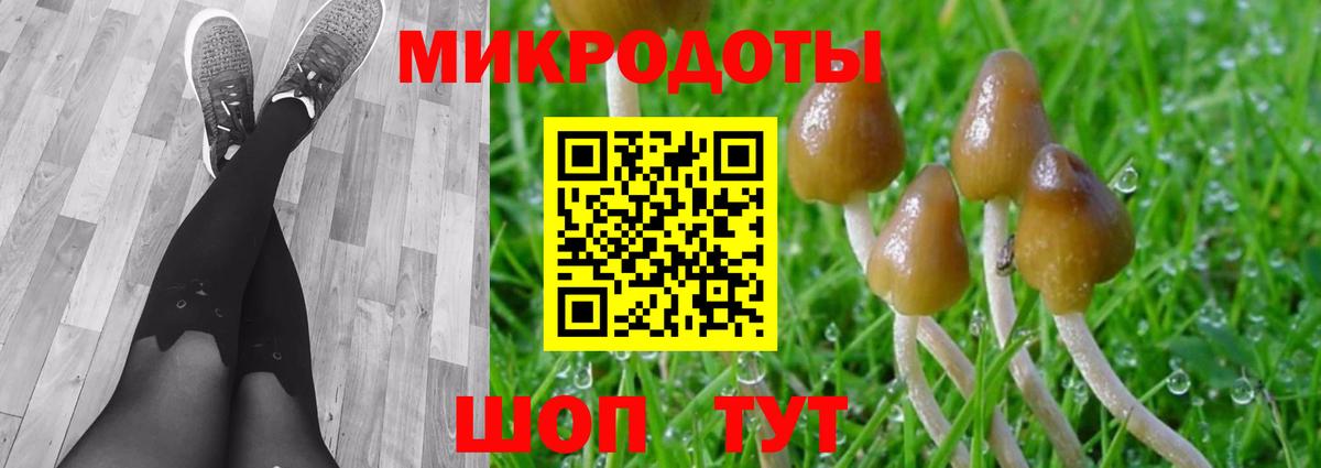 Галлюциногенные грибы ЛСД Пушкино