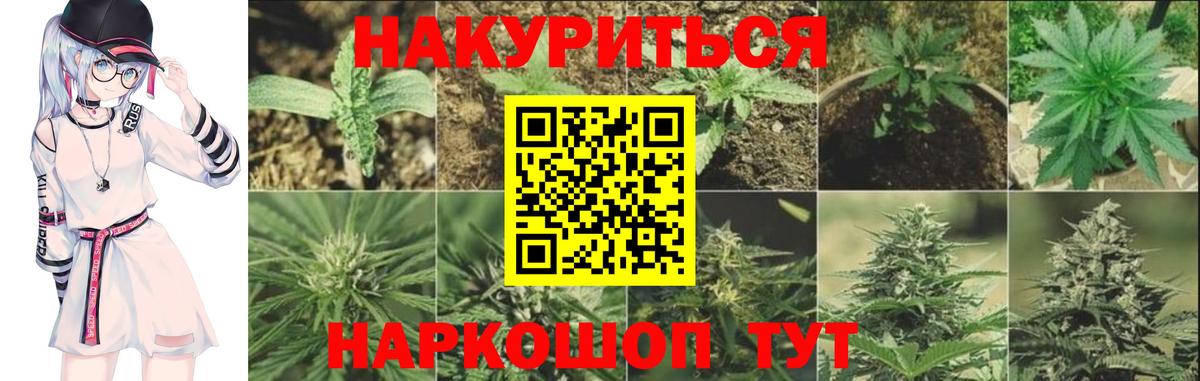 Канабис SATIVA & INDICA  Шишки марихуана конопля  Пушкино  Вход с VPN  Конопля планчик  Бошки марихуана LSD WEED 
